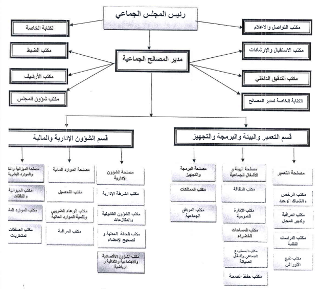 الهيكل التنظيمي